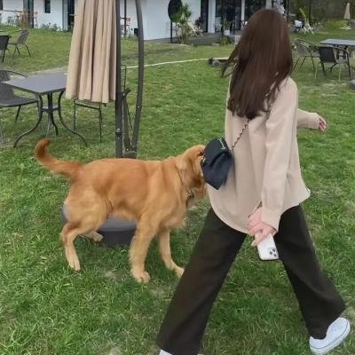 二婶